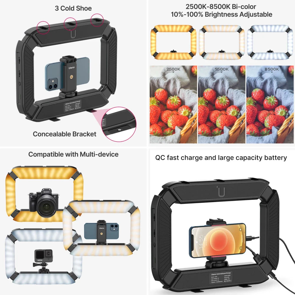 Smartphone Video Rig with Ring Light